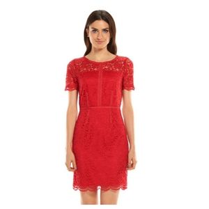 Elle Lace Sheath Dress